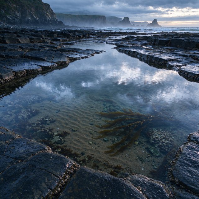 At dawn on a rugged basalt shore, a tide pool mirrors clearing rain clouds; translucent water reveals rippled sand, barnacle-crusted rock, and blurred kelp below the surface, with slick foreground stone leading toward hazy coastal cliffs. — Seedream 5.0 Flash