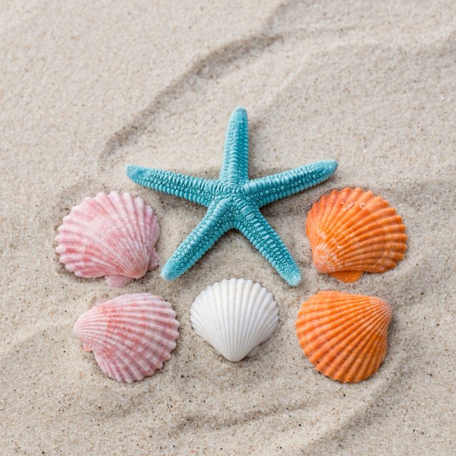 Exactly five seashells lie on pale sand: two pink shells on the left, one white shell in the center, and two orange shells on the right. A turquoise starfish sits above the center shell, nothing else. — ImagineArt 2