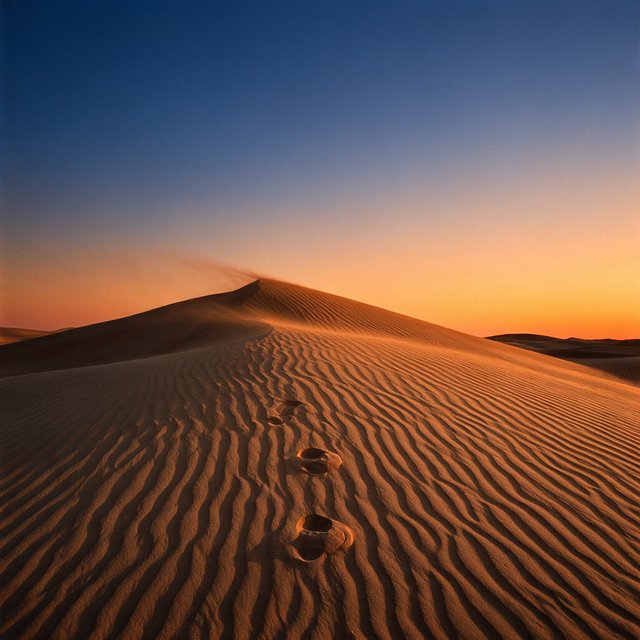 Sand dunes at sunset with wind-blown ridges, one set of footprints, deep blue sky fading to orange. — Seedream 5.0 Pro