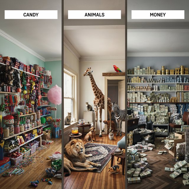 Realistic. Three scenes in one. 1) A room filled with many types of candy. 2) A room filled with many kinds of animals. 3) A room filled with all kinds of money. Above each room, a list names what is inside. — Ideogram v4