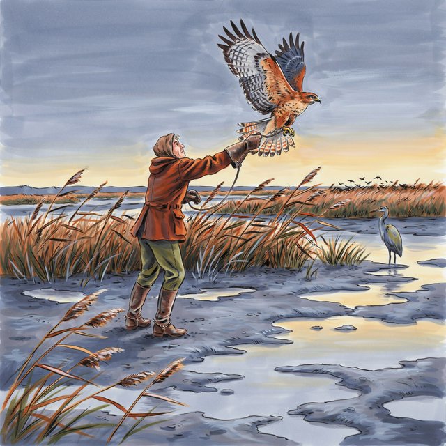 Ink-and-gouache illustration of an adult falconer releasing a hawk above a salt marsh, reeds bending in the wind and tidal pools catching sunset. Palette of rust, moss green, pale gold, and slate blue, with lively brushwork. — Ideogram v4