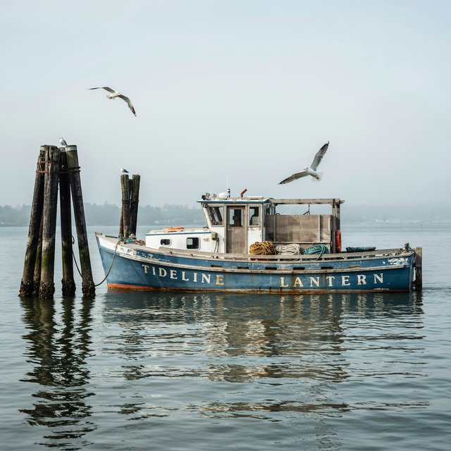 At a quiet harbor, a weathered wooden ferry rests beside slick pilings, ropes coiled on deck as gulls wheel overhead; "TIDELINE LANTERN" is painted in faded ivory letters along the blue hull. — Ideogram v4.5