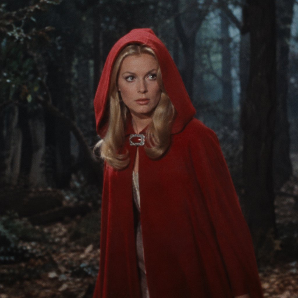 Medium shot at eye level: 1960s vintage film aesthetic. An adult woman with long, blonde hair walks alone through a dark forest. She wears a red hooded cloak, with the hood pulled up and fastened at the neck by a silver buckle. Photorealistic 1960s Technicolor film grain; soft, shallow depth of field. — GPT Image 2.5 Sunburst