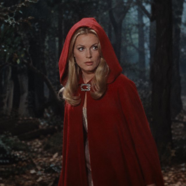 Medium shot at eye level: 1960s vintage film aesthetic. An adult woman with long, blonde hair walks alone through a dark forest. She wears a red hooded cloak, with the hood pulled up and fastened at the neck by a silver buckle. Photorealistic 1960s Technicolor film grain; soft, shallow depth of field. — GPT Image 2.5 Sunburst