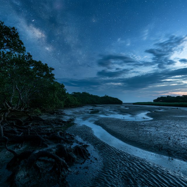 A mangrove delta spreads beneath a star-filled midnight sky after a humid shower; rain-beaded roots and fine silt ridges sharpen the foreground, while winding channels vanish among distant reed islands. — Model 13