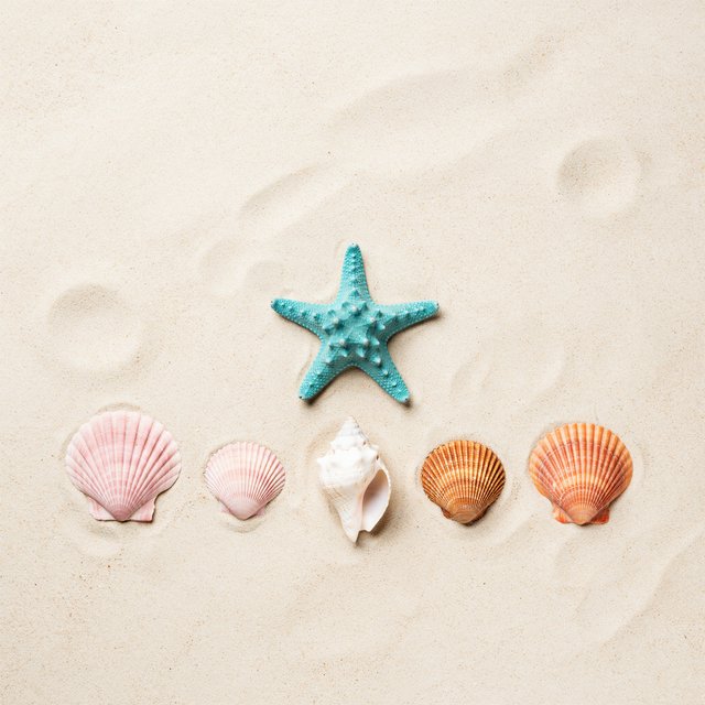 Exactly five seashells lie on pale sand: two pink shells on the left, one white shell in the center, and two orange shells on the right. A turquoise starfish sits above the center shell, nothing else. — Ideogram v4