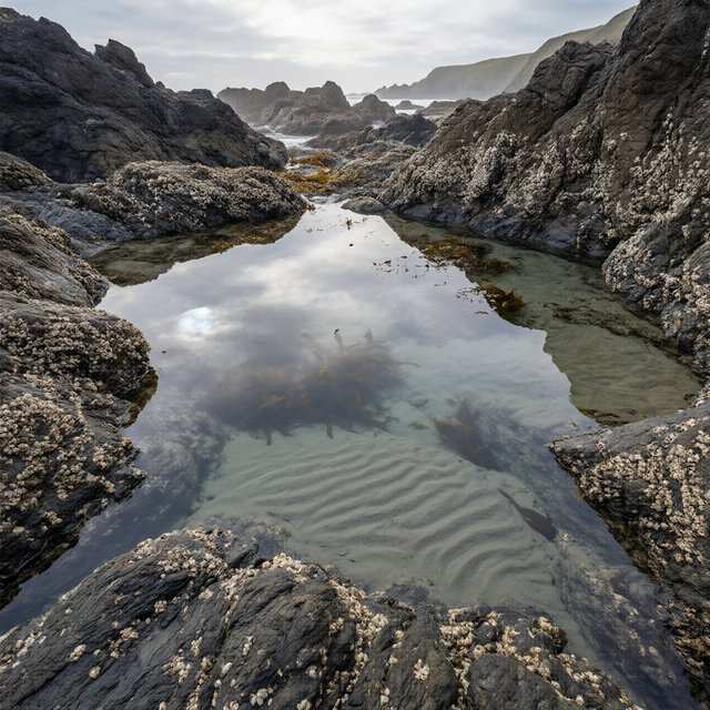 At dawn on a rugged basalt shore, a tide pool mirrors clearing rain clouds; translucent water reveals rippled sand, barnacle-crusted rock, and blurred kelp below the surface, with slick foreground stone leading toward hazy coastal cliffs. — Qwen Image 3.0