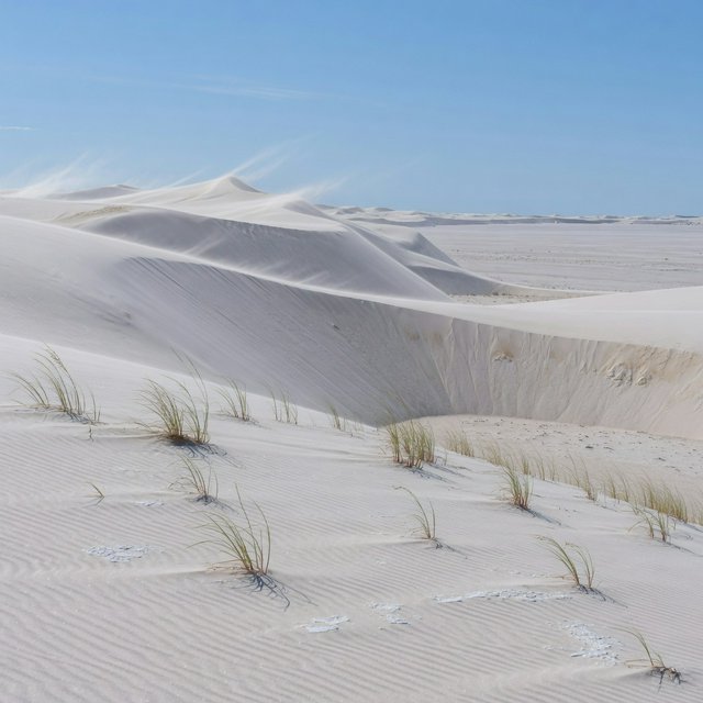 A pale gypsum dune field beneath a wind-brushed, cloudless midday sky, fine sand streaming over steep ridges; delicate ripple patterns and scattered salt-tolerant grasses sharpen the foreground as dunes soften toward a distant basin. — Grok Imagine Image Quality