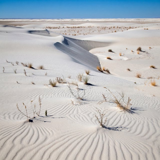 A pale gypsum dune field beneath a wind-brushed, cloudless midday sky, fine sand streaming over steep ridges; delicate ripple patterns and scattered salt-tolerant grasses sharpen the foreground as dunes soften toward a distant basin. — ImagineArt 2