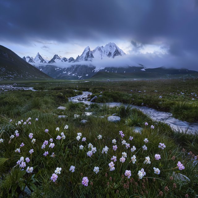 A windswept alpine meadow beneath heavy morning clouds, fresh rain darkening the grasses, a braided stream winding toward distant snowcapped peaks, tiny wildflowers and wet stones sharpening the foreground texture and layered depth. — Kling v3