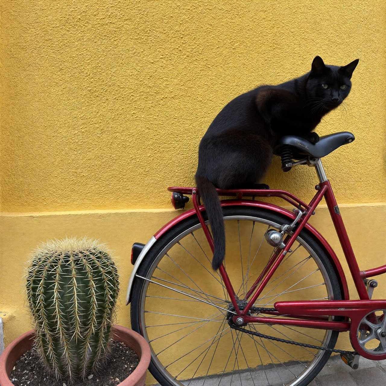 A red bicycle leaning against a yellow wall, a black cat sitting on the bicycle's saddle, a small potted cactus to the left of the bicycle. — ImagineArt 1.5 Pro