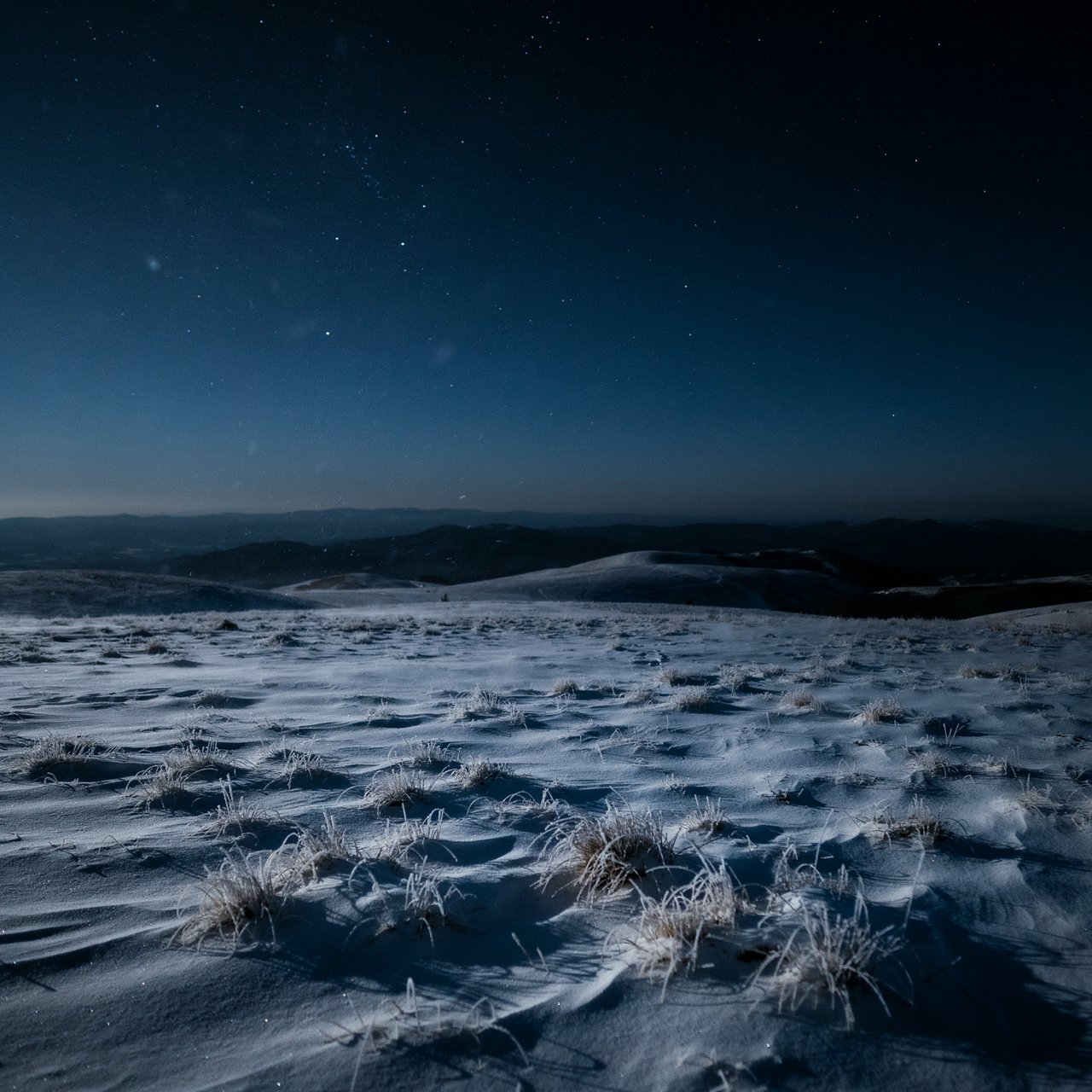 Moonlight washes a snowbound high plateau beneath sharp stars, while dry flurries cross the midnight air; frost feathers the foreground tussocks, and dark, rolling ridgelines recede into a blue-black distance. — Ideogram v4.5