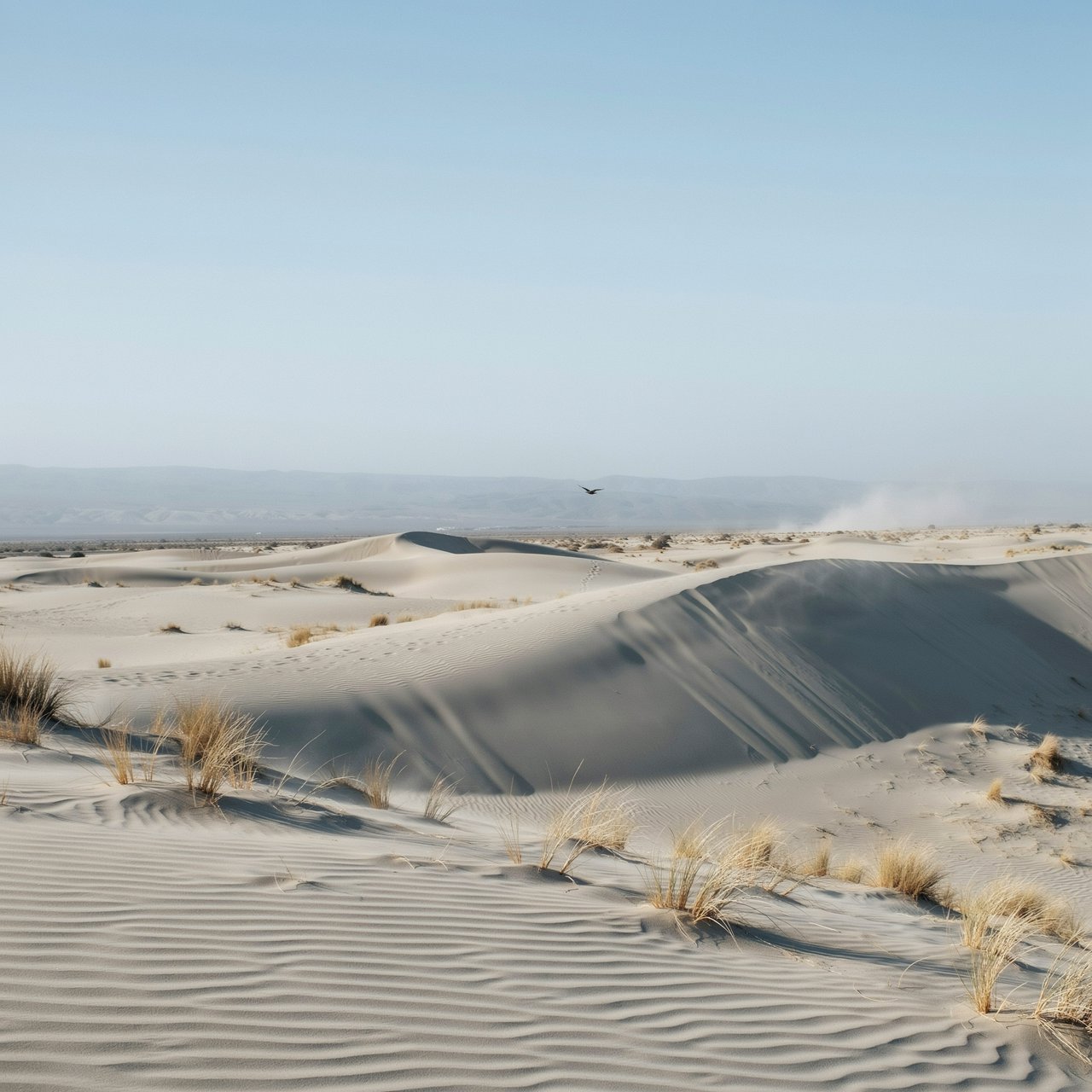 A pale gypsum dune field beneath a wind-brushed, cloudless midday sky, fine sand streaming over steep ridges; delicate ripple patterns and scattered salt-tolerant grasses sharpen the foreground as dunes soften toward a distant basin. — Ideogram v4
