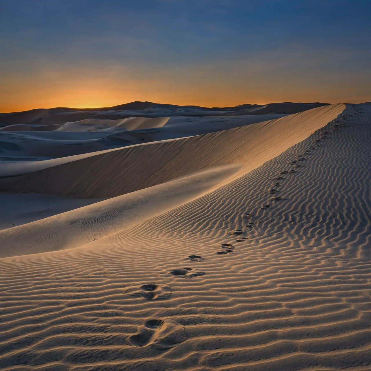 Sand dunes at sunset with wind-blown ridges, one set of footprints, deep blue sky fading to orange. — Muse Image 1.0