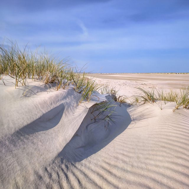 A pale gypsum dune field beneath a wind-brushed, cloudless midday sky, fine sand streaming over steep ridges; delicate ripple patterns and scattered salt-tolerant grasses sharpen the foreground as dunes soften toward a distant basin. — Kling v3