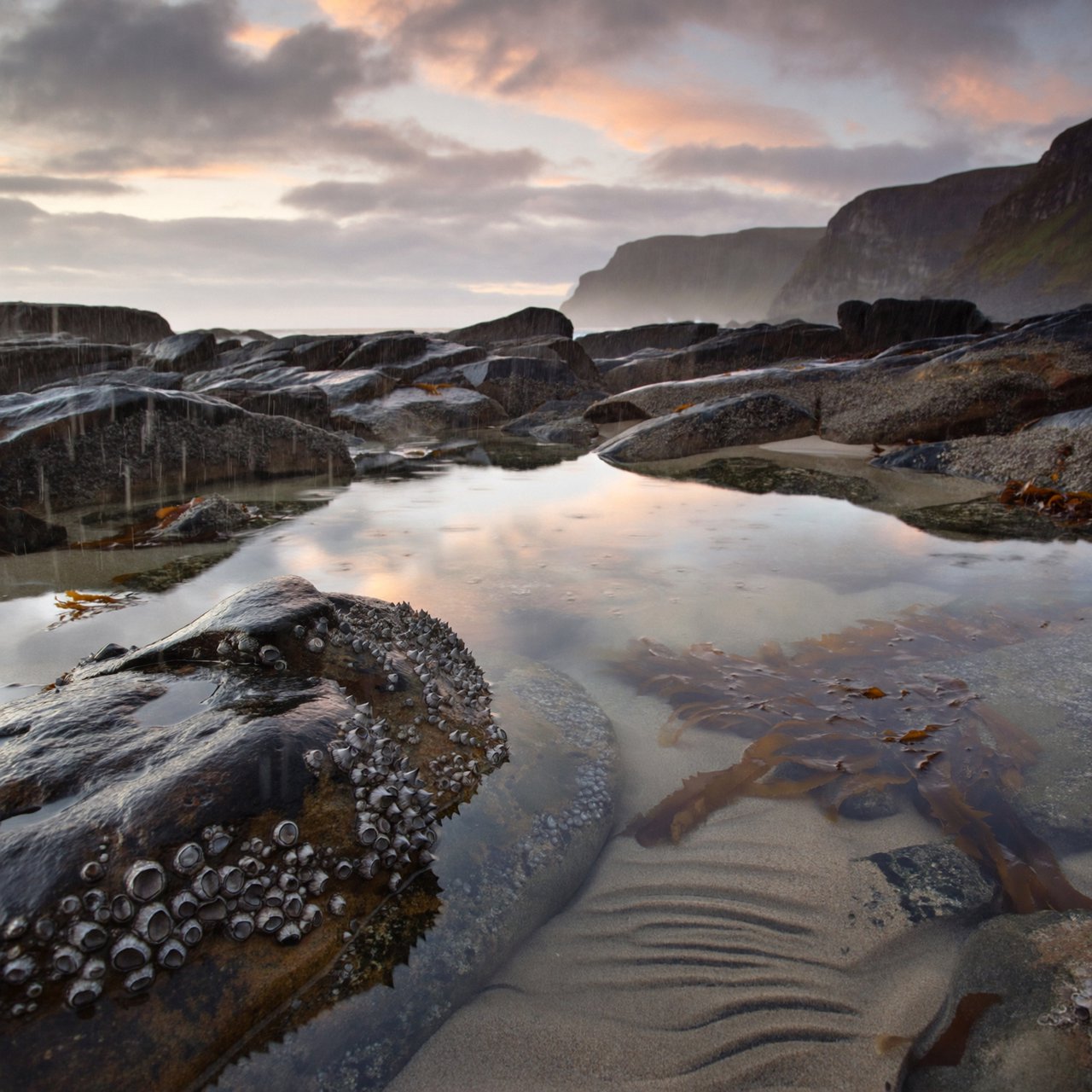 At dawn on a rugged basalt shore, a tide pool mirrors clearing rain clouds; translucent water reveals rippled sand, barnacle-crusted rock, and blurred kelp below the surface, with slick foreground stone leading toward hazy coastal cliffs. — ImagineArt 2