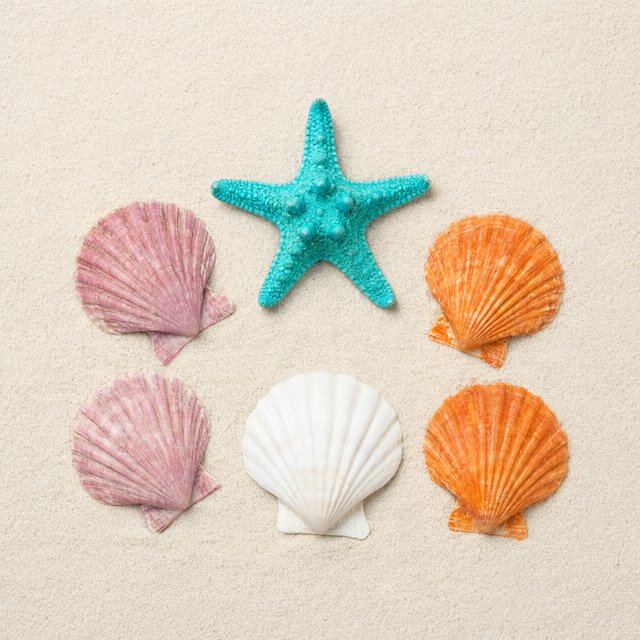 Exactly five seashells lie on pale sand: two pink shells on the left, one white shell in the center, and two orange shells on the right. A turquoise starfish sits above the center shell, nothing else. — Qwen Image 3.0 Pro