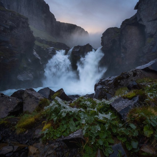 After a passing squall, a waterfall drops through a narrow basalt gorge at dusk, its white plume breaking against dark ledges; rain-beaded moss and sharp foreground stones lead toward cliffs fading behind drifting spray. — ImagineArt 2