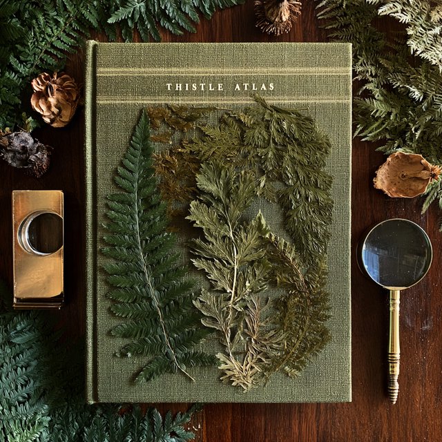 Pressed fern fronds, seed pods, and a magnifying lens frame a naturalist’s field-guide book cover on moss-green cloth; “THISTLE ATLAS” spans the upper third in hand-cut ivory serif capitals, with no other legible writing. — Model 13