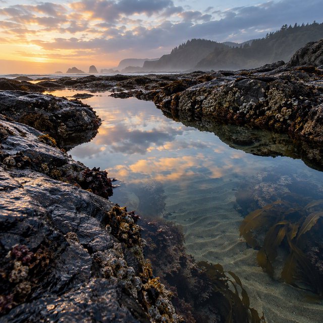 At dawn on a rugged basalt shore, a tide pool mirrors clearing rain clouds; translucent water reveals rippled sand, barnacle-crusted rock, and blurred kelp below the surface, with slick foreground stone leading toward hazy coastal cliffs. — GPT Image 2.5 Flare