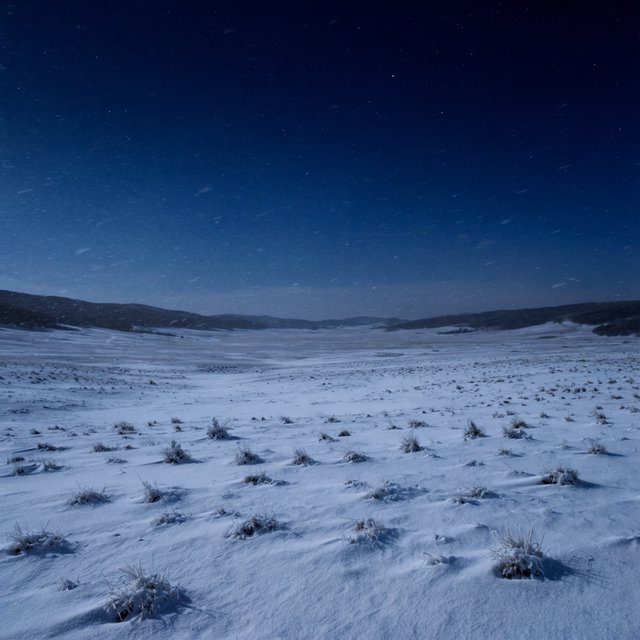 Moonlight washes a snowbound high plateau beneath sharp stars, while dry flurries cross the midnight air; frost feathers the foreground tussocks, and dark, rolling ridgelines recede into a blue-black distance. — Krea 2 Large