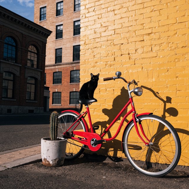 A red bicycle leaning against a yellow wall, a black cat sitting on the bicycle's saddle, a small potted cactus to the left of the bicycle. — Recraft v4
