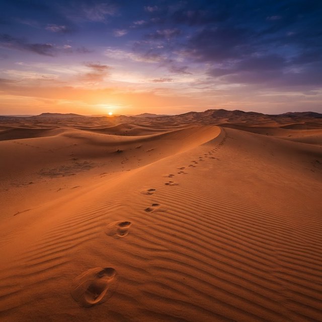 Sand dunes at sunset with wind-blown ridges, one set of footprints, deep blue sky fading to orange. — Nano Banana 2 Lite