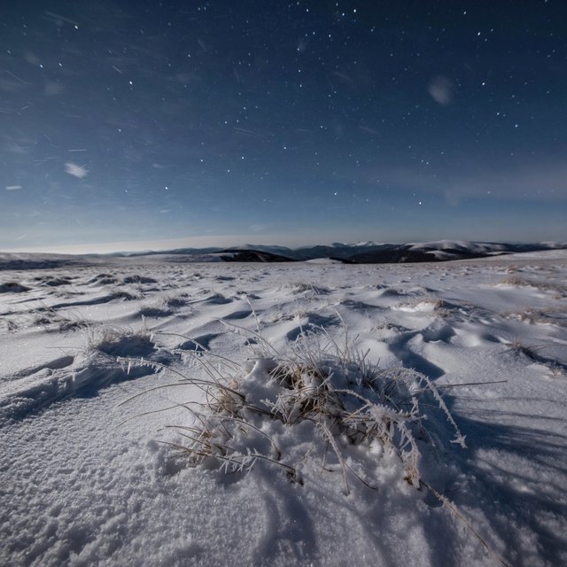 Moonlight washes a snowbound high plateau beneath sharp stars, while dry flurries cross the midnight air; frost feathers the foreground tussocks, and dark, rolling ridgelines recede into a blue-black distance. — ImagineArt 2