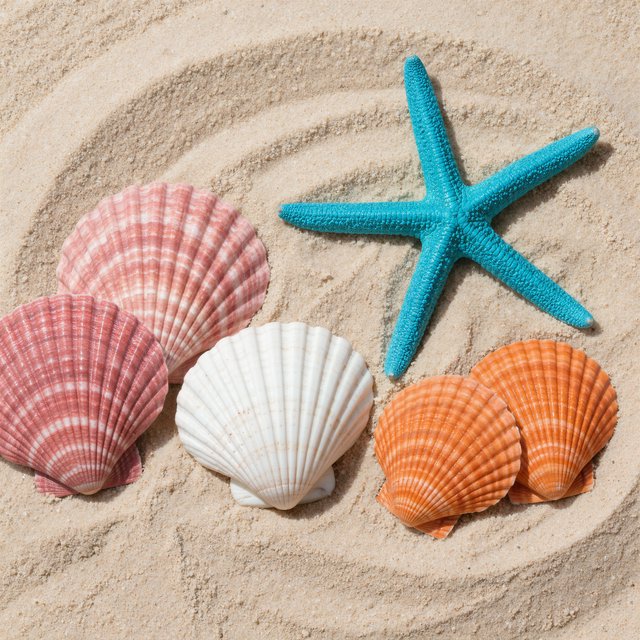 Exactly five seashells lie on pale sand: two pink shells on the left, one white shell in the center, and two orange shells on the right. A turquoise starfish sits above the center shell, nothing else. — Kling v3 Omni