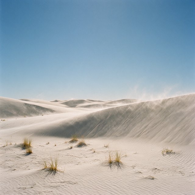 A pale gypsum dune field beneath a wind-brushed, cloudless midday sky, fine sand streaming over steep ridges; delicate ripple patterns and scattered salt-tolerant grasses sharpen the foreground as dunes soften toward a distant basin. — Seedream 5.0 Pro