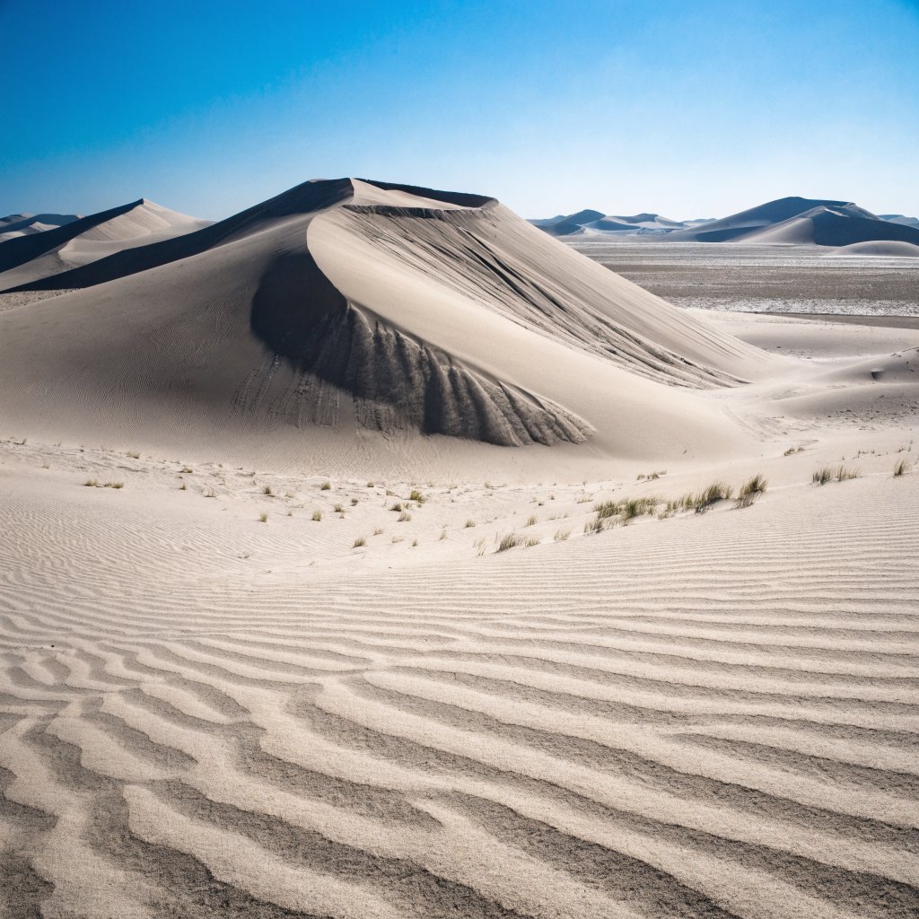 A pale gypsum dune field beneath a wind-brushed, cloudless midday sky, fine sand streaming over steep ridges; delicate ripple patterns and scattered salt-tolerant grasses sharpen the foreground as dunes soften toward a distant basin. — Recraft v4