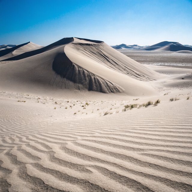 A pale gypsum dune field beneath a wind-brushed, cloudless midday sky, fine sand streaming over steep ridges; delicate ripple patterns and scattered salt-tolerant grasses sharpen the foreground as dunes soften toward a distant basin. — Recraft v4