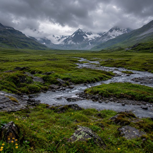 A windswept alpine meadow beneath heavy morning clouds, fresh rain darkening the grasses, a braided stream winding toward distant snowcapped peaks, tiny wildflowers and wet stones sharpening the foreground texture and layered depth. — GPT Image 2.5 Flare