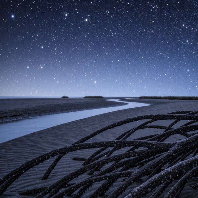 A mangrove delta spreads beneath a star-filled midnight sky after a humid shower; rain-beaded roots and fine silt ridges sharpen the foreground, while winding channels vanish among distant reed islands. — Model 10