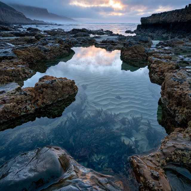 At dawn on a rugged basalt shore, a tide pool mirrors clearing rain clouds; translucent water reveals rippled sand, barnacle-crusted rock, and blurred kelp below the surface, with slick foreground stone leading toward hazy coastal cliffs. — Midjourney V8.2