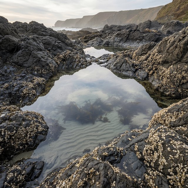 At dawn on a rugged basalt shore, a tide pool mirrors clearing rain clouds; translucent water reveals rippled sand, barnacle-crusted rock, and blurred kelp below the surface, with slick foreground stone leading toward hazy coastal cliffs. — Qwen Image 3.0 Pro