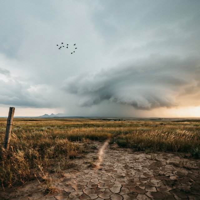 Across a tawny prairie basin, a rotating thunderstorm gathers in the late afternoon beneath bruised clouds, rain veiling distant buttes; seed heads and cracked earth in the foreground contrast with ridges softened by the advancing downpour. — Ideogram v4