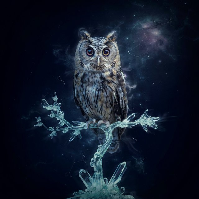 An ethereal owl with feathers made of shimmering moonlight and eyes like miniature galaxies, perched on a branch of a crystalline tree that grows in a void. Wisps of cosmic dust drift around it, and faint constellations are visible in the background. The scene evokes a sense of profound tranquility and celestial mystery. Style: Ethereal, surrealism, with a touch of photorealism. — Ideogram v4.5