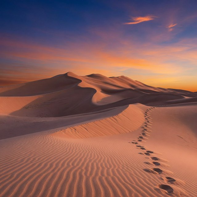 Sand dunes at sunset with wind-blown ridges, one set of footprints, deep blue sky fading to orange. — Grok Imagine Image Quality