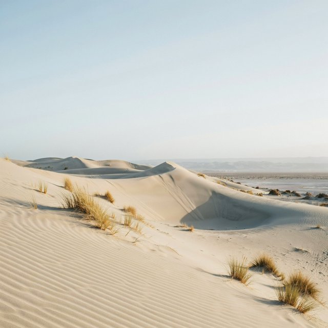 A pale gypsum dune field beneath a wind-brushed, cloudless midday sky, fine sand streaming over steep ridges; delicate ripple patterns and scattered salt-tolerant grasses sharpen the foreground as dunes soften toward a distant basin. — Ideogram v4.5