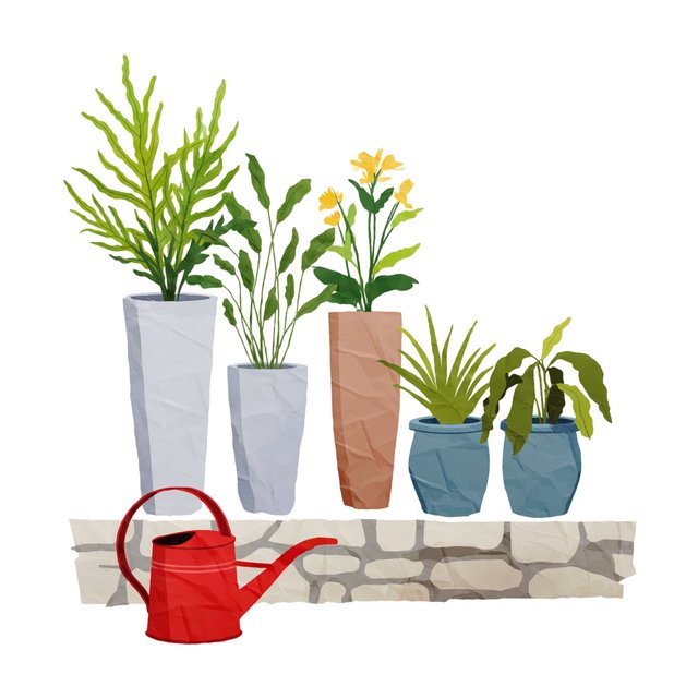 Exactly five potted plants stand on a stone ledge: two tall green ferns on the left, one flowering yellow plant in the center, and two small blue pots on the right. A red watering can sits below, nothing else. — Krea 2 Medium