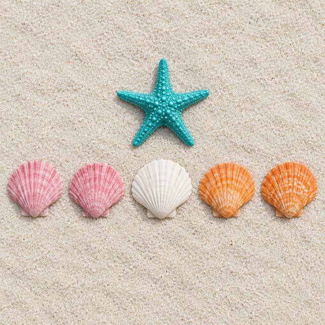 Exactly five seashells lie on pale sand: two pink shells on the left, one white shell in the center, and two orange shells on the right. A turquoise starfish sits above the center shell, nothing else. — GPT Image 2.5 Flare