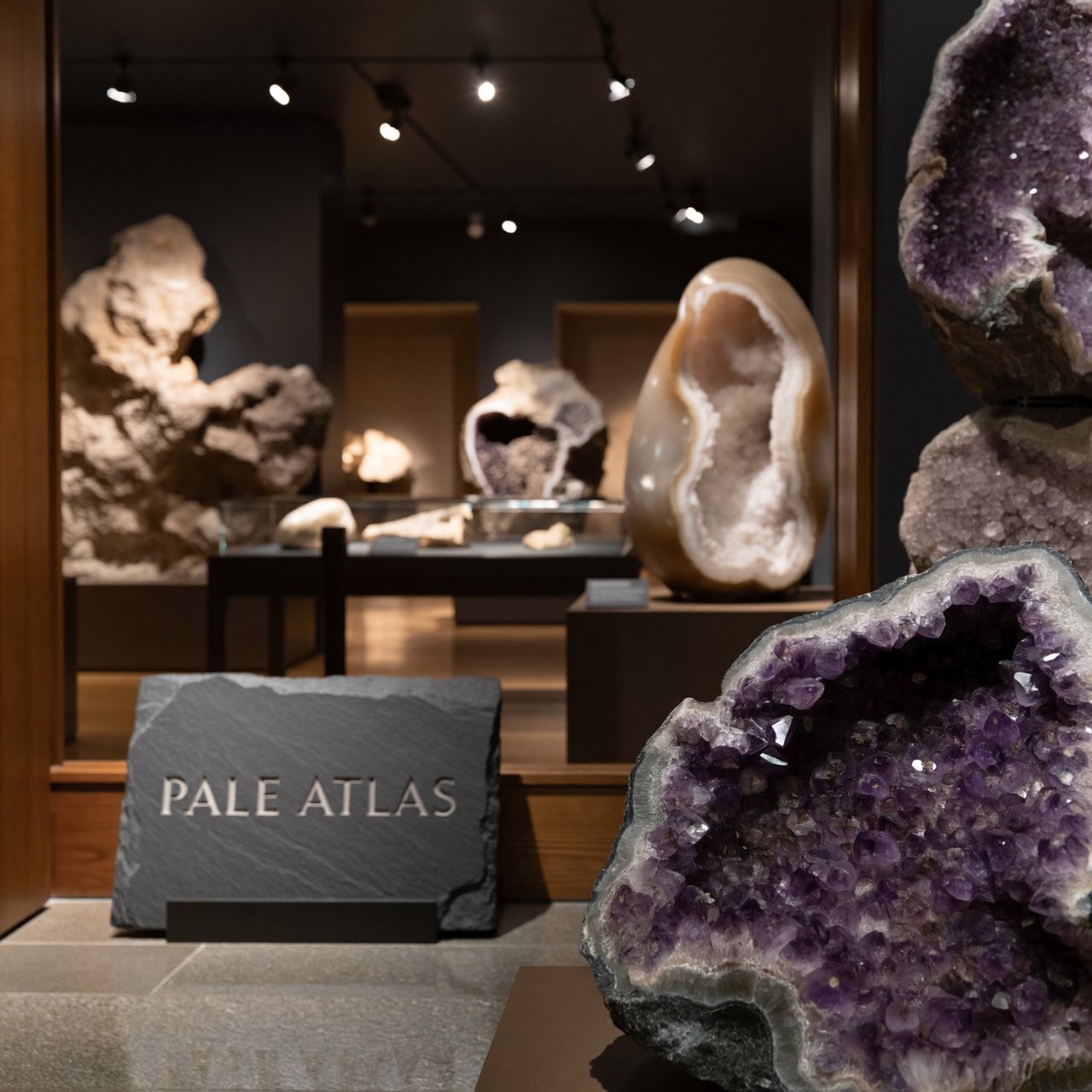 Within a quiet mineral gallery, amethyst clusters and polished geodes catch pools of light; "PALE ATLAS" is carved in clean capitals across a slate plaque beside the entrance. — ImagineArt 2