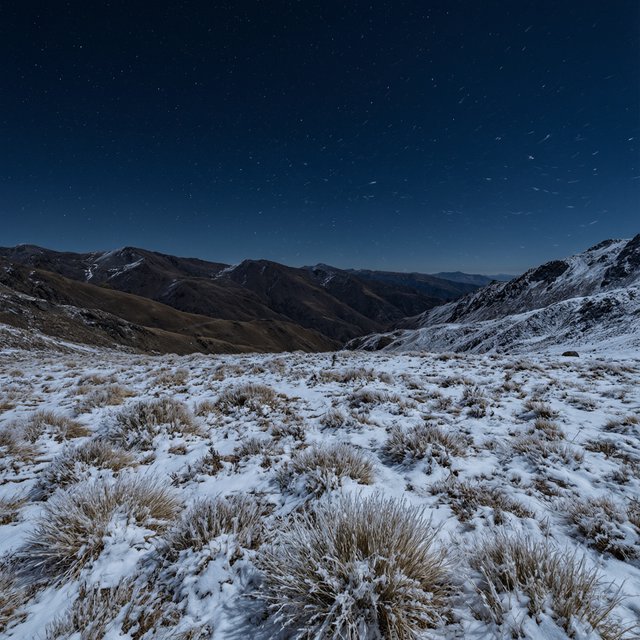Moonlight washes a snowbound high plateau beneath sharp stars, while dry flurries cross the midnight air; frost feathers the foreground tussocks, and dark, rolling ridgelines recede into a blue-black distance. — Qwen Image 3.0 Pro