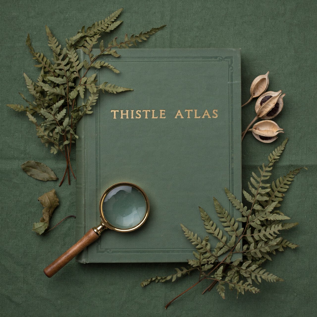 Pressed fern fronds, seed pods, and a magnifying lens frame a naturalist’s field-guide book cover on moss-green cloth; “THISTLE ATLAS” spans the upper third in hand-cut ivory serif capitals, with no other legible writing. — Ideogram v4