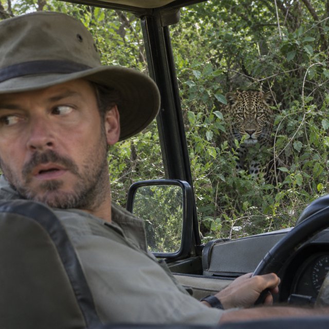 An adult on a jungle safari in his car, with a leopard lurking behind him in the bushes — GPT Image 2.5 Flare