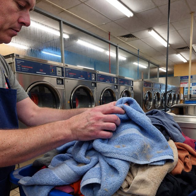 Candid documentary photograph of an adult laundromat attendant sorting warm clothes beside humming machines, cool fluorescent light, 50mm lens with moderate depth of field, loose lint clinging to a blue towel and faint condensation on the glass doors. — ImagineArt 1.5 Pro
