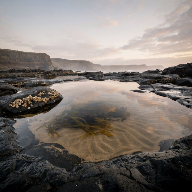 At dawn on a rugged basalt shore, a tide pool mirrors clearing rain clouds; translucent water reveals rippled sand, barnacle-crusted rock, and blurred kelp below the surface, with slick foreground stone leading toward hazy coastal cliffs. — Ideogram v4.5