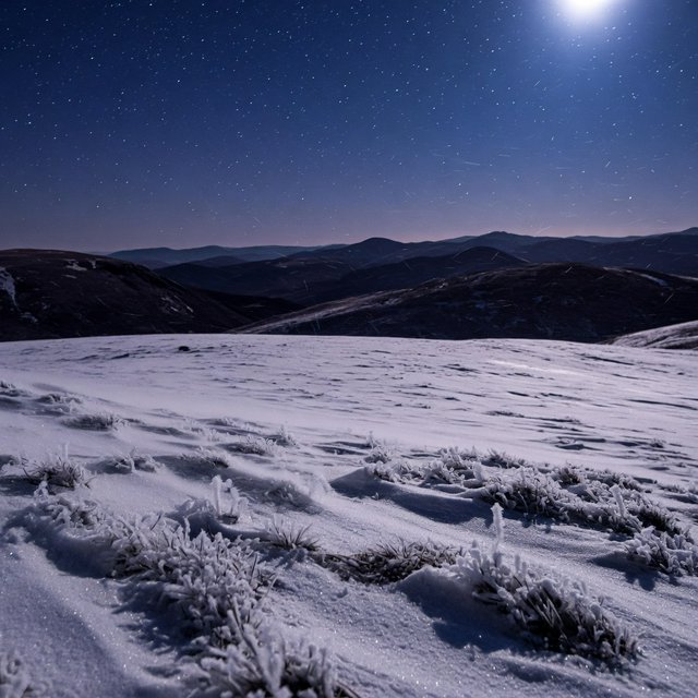 Moonlight washes a snowbound high plateau beneath sharp stars, while dry flurries cross the midnight air; frost feathers the foreground tussocks, and dark, rolling ridgelines recede into a blue-black distance. — Grok Imagine Image Quality
