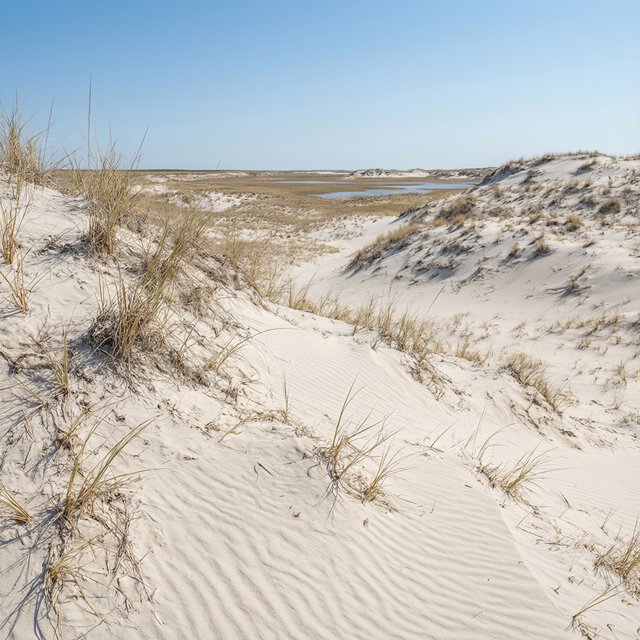 A pale gypsum dune field beneath a wind-brushed, cloudless midday sky, fine sand streaming over steep ridges; delicate ripple patterns and scattered salt-tolerant grasses sharpen the foreground as dunes soften toward a distant basin. — Qwen Image 3.0 Pro